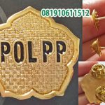 pin pol pp cor